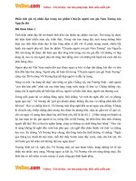 Phân tích giá trị nhân đạo trong tác phẩm Chuyện người con gái Nam Xương của Nguyễn Dữ