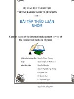 Tiểu luận current status of the international payment service of the commercial banks in vietnam 