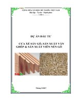 Dự án cưa xe sấy gỗ, sản xuất ván ghép  sản xuất viên nén gỗ 