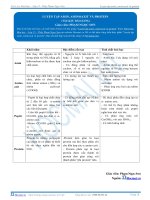 Bai 5  luyen tap amin aminoaxit 