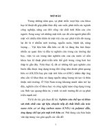 Nghiên cứu chế tạo và khảo sát tính chất của vật liệu chuyển tiếp dị chất khối cấu trúc nano trên cơ sở ống carbon nano (CNTs) và polymer dẫn, ứng dụng chế tạo pin mặt trời hữu cơ (tt)