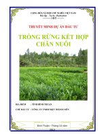 Dự án trồng rừng kết hợp chăn nuôi 