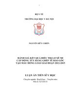 Đánh giá kết quả điều trị lơ xê mi cấp dòng tủy bằng ghép tế bào gốc tạo máu đồng loài giai đoạn 2012-2015.