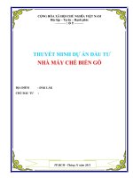 Dự án nhà máy chế biến gỗ 