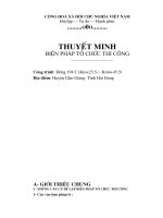 Thuyết minh biện pháp thi công đường 