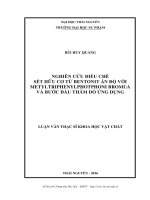 Nghiên cứu điều chế sét hữu cơ từ bentonit Ấn Độ với metyltriphenylphotphoni brommua và bước đầu thăm dò ứng dụng (LV thạc sĩ)