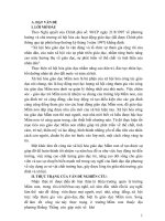 Một số kinh nghiệm của công tác xã hội hóa giáo dục mầm non 