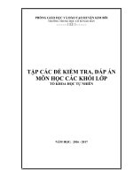 bia cac de kiem tra dap an to tn 