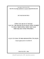 Công tác quản lý nợ xấu tại các chi nhánh Ngân hàng Nông nghiệp và Phát triển nông thôn Việt Nam trên địa bàn tỉnh Vĩnh Phúc (LV thạc sĩ)