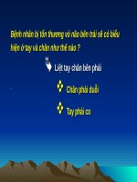 SLIDE THẦN KINH, SINH LÝ VÙNG DƯỚI ĐỒI