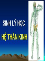 SLIDE SINH LÝ HỌC HỆ THẦN KINH