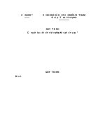 Mẫu quyết định cưỡng chế buộc thực hiện biện pháp khắc phục hậu quả