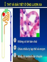 slide sinh lý thận