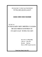 SỬ DỤNG KIẾN THỨC PRÔTÊIN và ENZIM để GIẢI THÍCH cơ sở PHÂN tử của QUY LUẬT  TƯƠNG tác GEN 