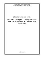 Báo cáo dự án quy hoach mạng lưới quan trắc môi trường tỉnh bình định đến năm 2020