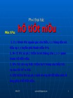 SLIDE PHÔI THAI HỌC TIẾT NIỆU