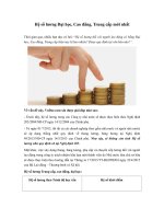 Hệ số lương Đại học, Cao đẳng, Trung cấp mới nhất