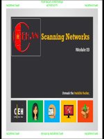 CEHv9 module 03 scanning networks (1) 