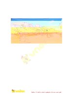 Vật nuôi gây tai nạn, chủ phải chịu trách nhiệm gì?