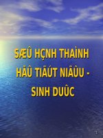SỰ HÌNH THÀNH HỆ TIẾT NIỆU - SINH DỤC