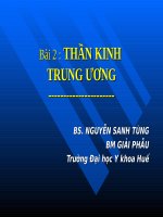 Bài 2 : THẦN KINH TRUNG ƯƠNG