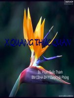 Bài giảng X Quang Thực Quan Trường Đại học Y Dược Hải Phòng