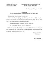 To trinh gioi thieu  to truong  to pho 