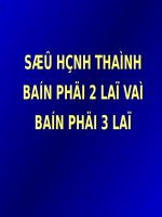SLIDE SỰ HÌNH THÀNH PHỔI 2 LÁ VÀ PHỔI 3 LÁ