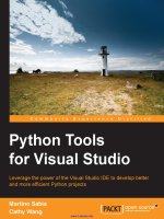 Python tools for visual studio 