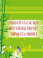 VAI TRÒ CỦA GIÁO DỤC ĐỐI VỚI SỰ PHÁT TRIỂN NHÂN CÁCH