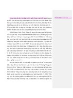 Marketing của ngân hàng TMCP đầu tư và phát triển việt nam ( BIDV) trong lĩnh vực cho vay xuất nhập khẩu với nhóm khách hàng doanh nghiệp vừa và nhỏ (tt) 