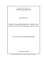 Nghiên cứu đặc điểm hình thái và trình tự gen rpoC1 của cây dừa cạn Catharanthus roseus (L.) G. Don (LV thạc sĩ)