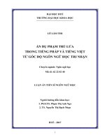 Ẩn dụ phạm trù lửa trong tiếng Pháp và tiếng Việt từ góc độ ngôn ngữ học tri nhận