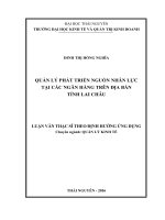 Quản lý phát triển nguồn nhân lực tại các ngân hàng trên địa bàn tỉnh Lai Châu (LV thạc sĩ)