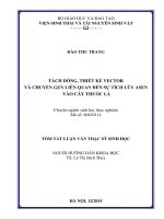 Tách dòng, thiết kế vector và chuyển gen liên quan đến sự tích lũy Asen vào cây thuốc lá (LV thạc sĩ)