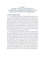 Hoàn thiện quy trình kiểm soát nội bộ chi đầu tư qua kho bạc nhà nước trên địa bàn tỉnh bình phước  
