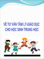 Công tác tư vấn tâm lý giáo dục cho học sinh trung học CS 