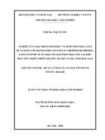 Nghiên cứu đặc điểm sinh học và sinh thái học loài du sam đá vôi (keteleeria davidiana (bertrand) beissn ) làm cơ sở đề xuất một số giải pháp bảo tồn tại khu bảo tồn thiên nhiên kim hỷ, huyện na rì, tỉnh bắc kạn 