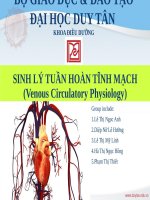 slide sinh ly tuần hoàn tĩnh mạch