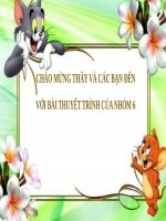 NẾU ĐƯỢC CHỌN THÌ BẠN SẼ SỐNG TRONG CHỦ NGHĨA XÃ HỘI HAY CHỦ NGHĨA TƯ BẢN? VÌ SAO?