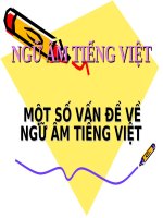 NGỮ âm TIẾNG VIỆT  h HƯƠNG 2014 