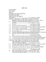 Phát triển sản phẩm chấp nhận hối phiếu trong tài trợ xuất nhập khẩu tại ngân hàng TMCP ngoại thương việt nam (tt) 