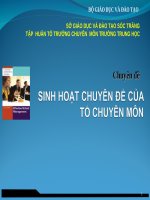 Sinh hoạt chuyên đề của tổ chuyên môn tài liệu tập huấn tổ trưởng chuyên môn 