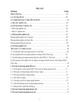 nghiên cứu khoa học kĩ thuật: sự ảnh hưởng của mạng voi hs