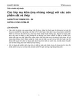 M 111 04 các lớp mạ kẽm (mạ nhúng nóng) với các sản phẩm sắt và thép 