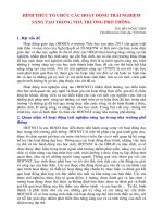 Hình thức tổ chức các hoạt động trải nghiệm sáng tạo trong nhà trường PT