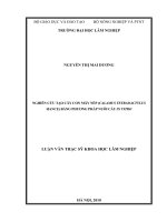 Nghiên cứu tạo cây con mây nếp (calamus tetradactylus hance) bằng phương pháp nuôi cấy invitro 