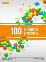 100 grammar structures de vol 1