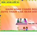 Hóa học 9 Bài 12. Mối quan hệ giữa các loại hợp chất vô cơ