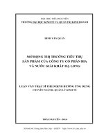 Mở rộng thị trường tiêu thu sản phẩm của công ty cổ phần bia và nước giải khát Hạ Long (LV thạc sĩ)